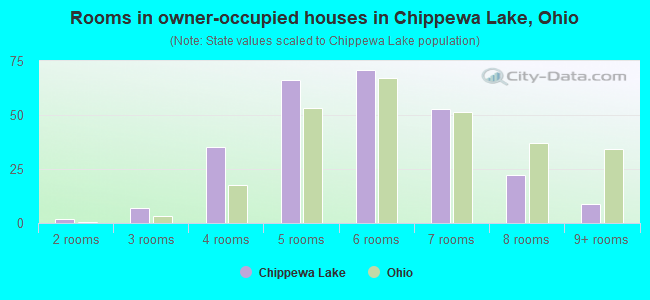 Rooms in owner-occupied houses in Chippewa Lake, Ohio