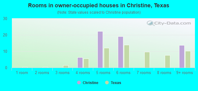 Rooms in owner-occupied houses in Christine, Texas