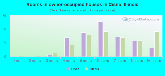 Rooms in owner-occupied houses in Cisne, Illinois