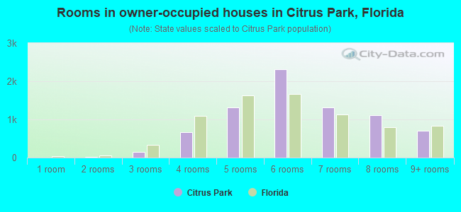 Rooms in owner-occupied houses in Citrus Park, Florida
