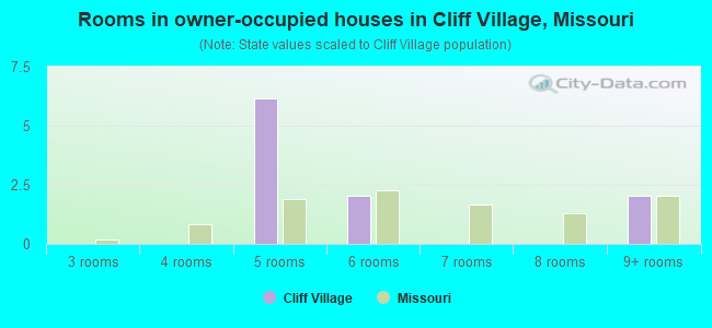 Rooms in owner-occupied houses in Cliff Village, Missouri
