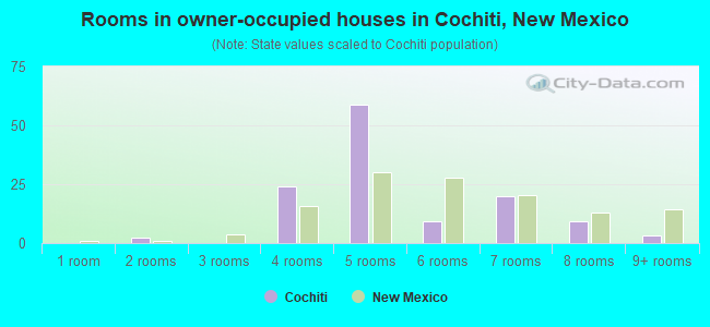 Rooms in owner-occupied houses in Cochiti, New Mexico