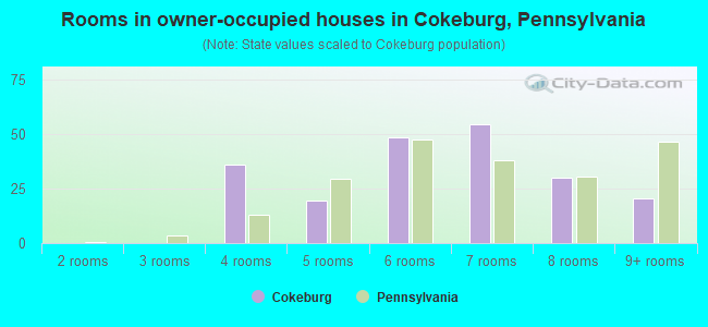 Rooms in owner-occupied houses in Cokeburg, Pennsylvania
