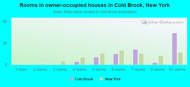 Rooms in owner-occupied houses in Cold Brook, New York