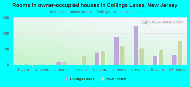 Rooms in owner-occupied houses in Collings Lakes, New Jersey