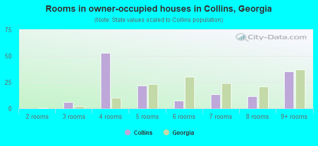 Rooms in owner-occupied houses in Collins, Georgia