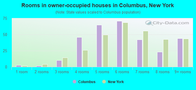 Rooms in owner-occupied houses in Columbus, New York