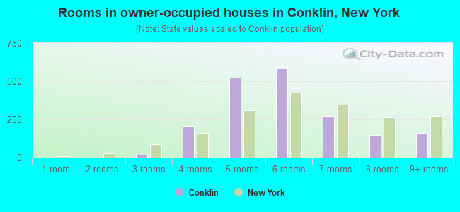 Rooms in owner-occupied houses in Conklin, New York