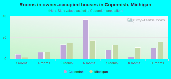 Rooms in owner-occupied houses in Copemish, Michigan