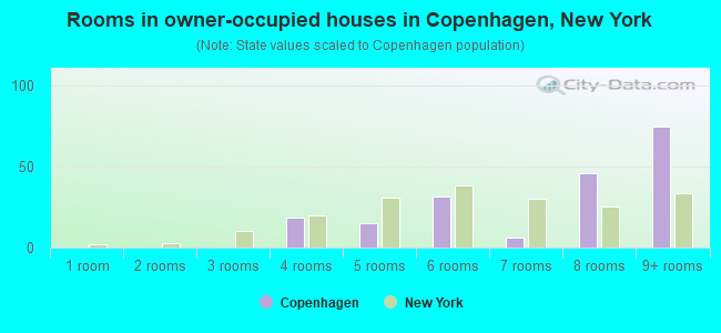 Rooms in owner-occupied houses in Copenhagen, New York