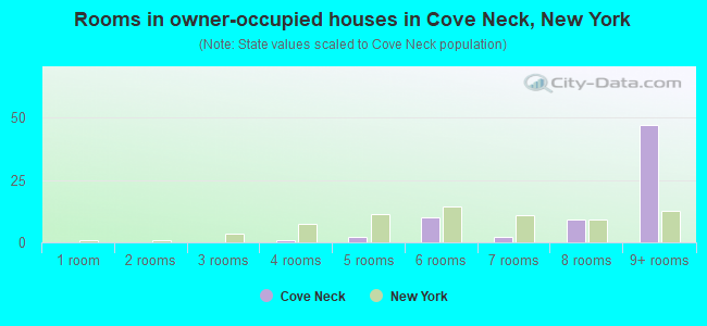 Rooms in owner-occupied houses in Cove Neck, New York