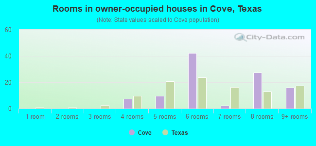 Rooms in owner-occupied houses in Cove, Texas