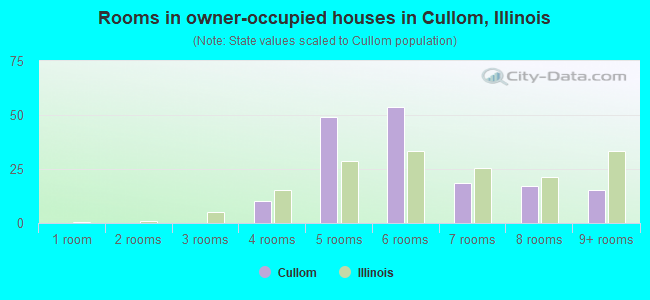 Rooms in owner-occupied houses in Cullom, Illinois