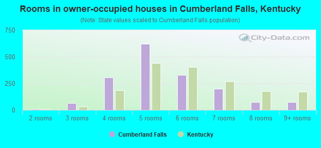 Rooms in owner-occupied houses in Cumberland Falls, Kentucky