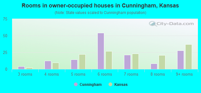 Rooms in owner-occupied houses in Cunningham, Kansas