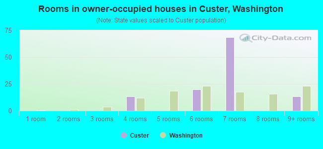 Rooms in owner-occupied houses in Custer, Washington