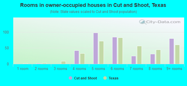 Rooms in owner-occupied houses in Cut and Shoot, Texas