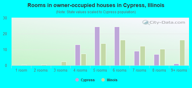 Rooms in owner-occupied houses in Cypress, Illinois