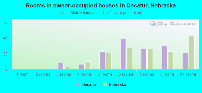 Rooms in owner-occupied houses in Decatur, Nebraska