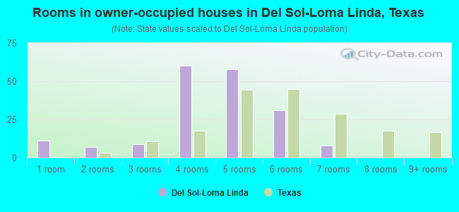 Rooms in owner-occupied houses in Del Sol-Loma Linda, Texas