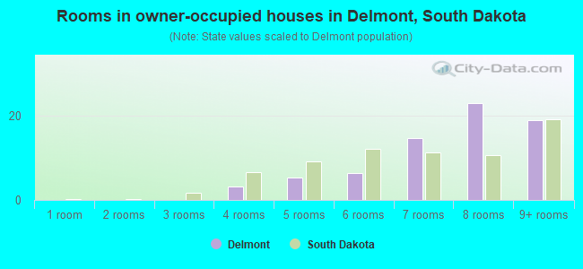 Rooms in owner-occupied houses in Delmont, South Dakota