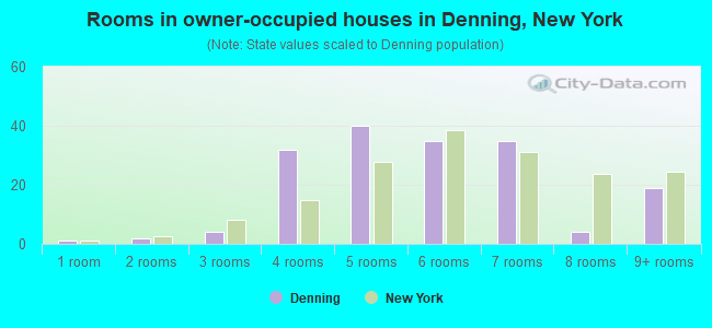 Rooms in owner-occupied houses in Denning, New York