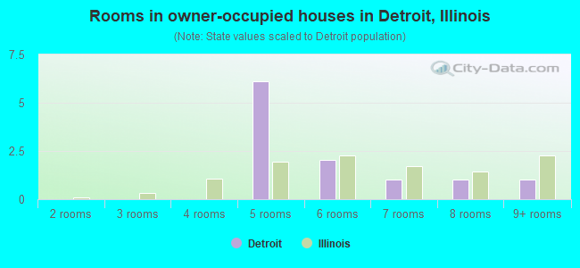 Rooms in owner-occupied houses in Detroit, Illinois
