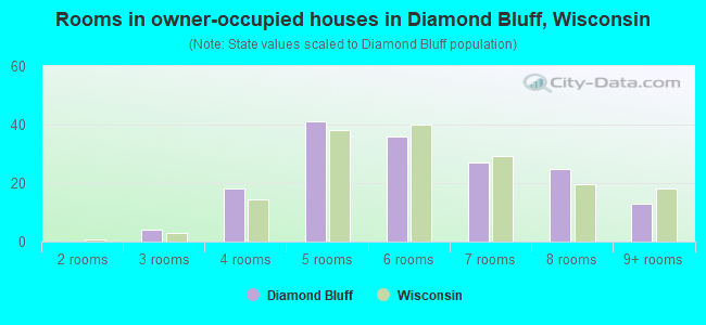 Rooms in owner-occupied houses in Diamond Bluff, Wisconsin