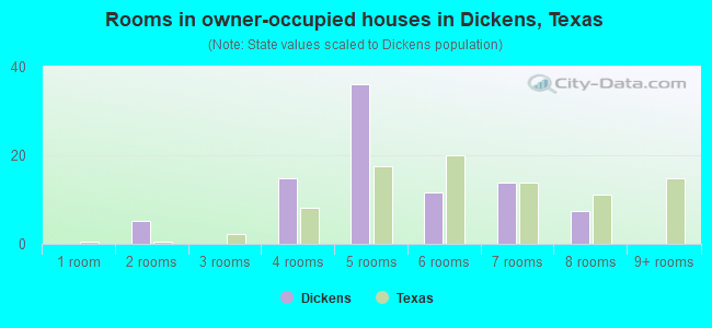 Rooms in owner-occupied houses in Dickens, Texas