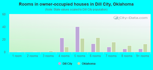 Rooms in owner-occupied houses in Dill City, Oklahoma