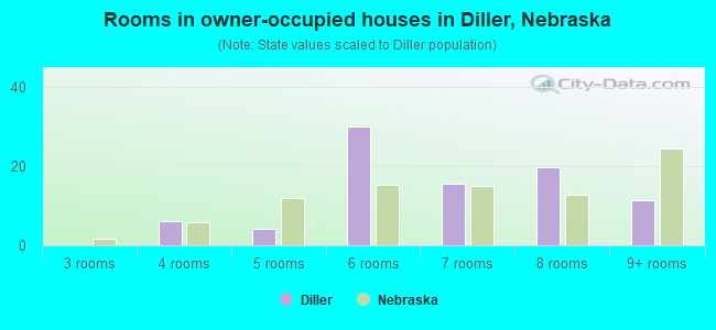 Rooms in owner-occupied houses in Diller, Nebraska