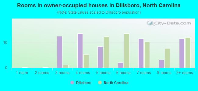 Rooms in owner-occupied houses in Dillsboro, North Carolina