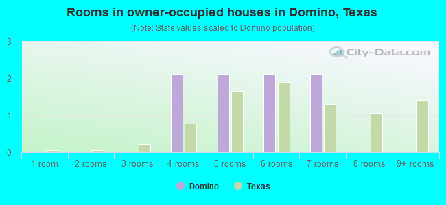 Rooms in owner-occupied houses in Domino, Texas