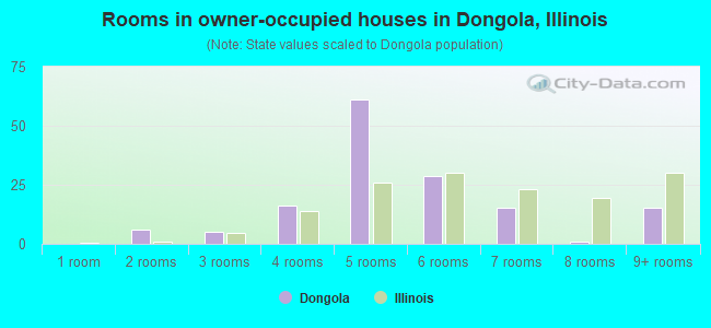 Rooms in owner-occupied houses in Dongola, Illinois