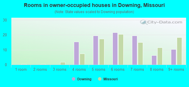 Rooms in owner-occupied houses in Downing, Missouri