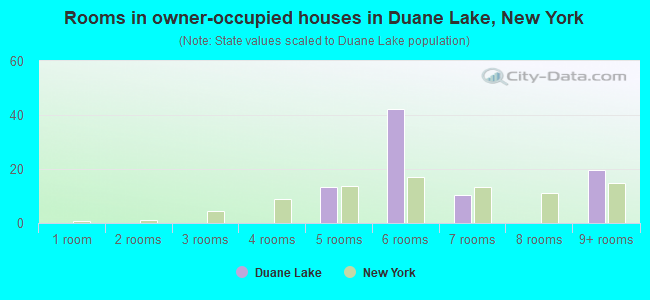 Rooms in owner-occupied houses in Duane Lake, New York