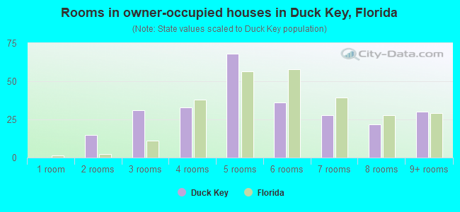Rooms in owner-occupied houses in Duck Key, Florida