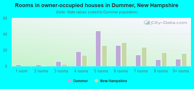 Rooms in owner-occupied houses in Dummer, New Hampshire