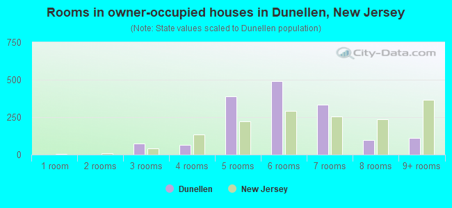 Rooms in owner-occupied houses in Dunellen, New Jersey