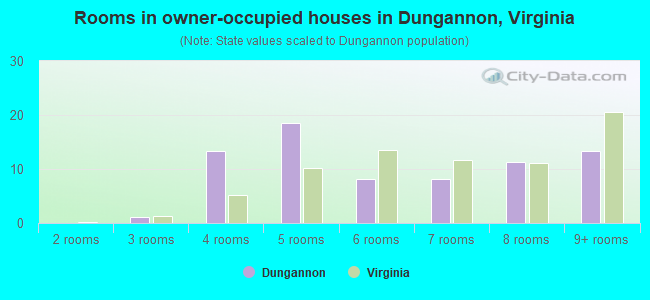 Rooms in owner-occupied houses in Dungannon, Virginia