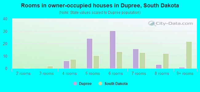 Rooms in owner-occupied houses in Dupree, South Dakota