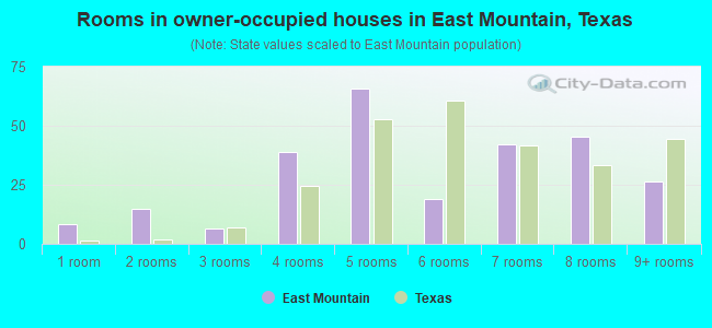 Rooms in owner-occupied houses in East Mountain, Texas