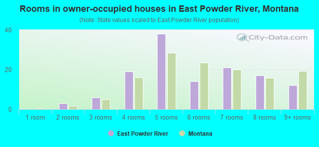 Rooms in owner-occupied houses in East Powder River, Montana