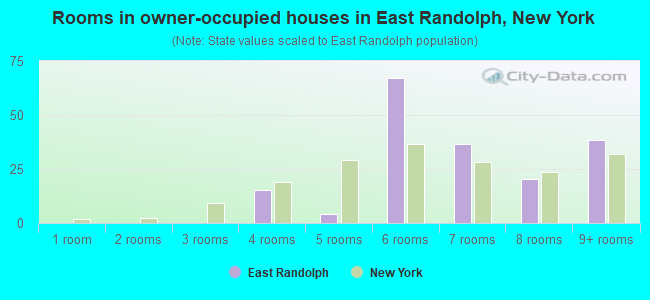 Rooms in owner-occupied houses in East Randolph, New York