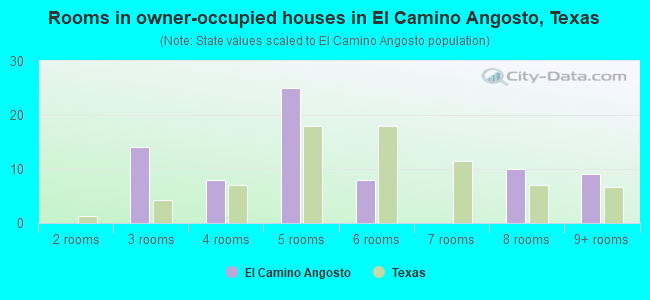Rooms in owner-occupied houses in El Camino Angosto, Texas