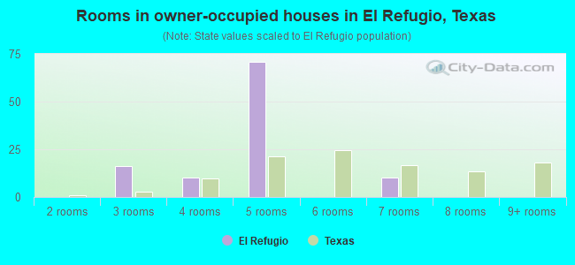 Rooms in owner-occupied houses in El Refugio, Texas