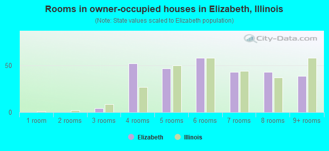 Rooms in owner-occupied houses in Elizabeth, Illinois