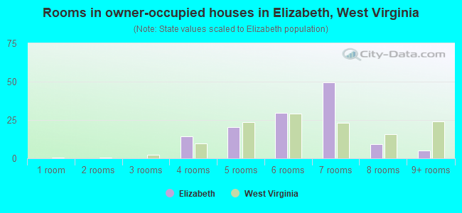 Rooms in owner-occupied houses in Elizabeth, West Virginia