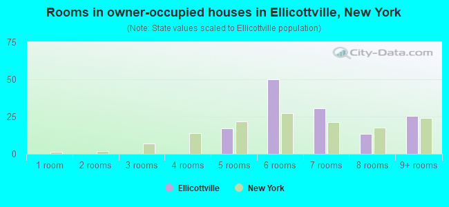 Rooms in owner-occupied houses in Ellicottville, New York