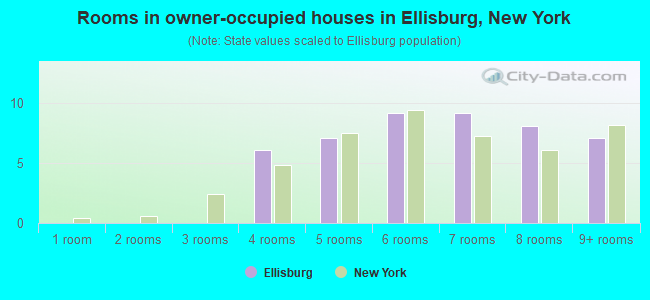 Rooms in owner-occupied houses in Ellisburg, New York